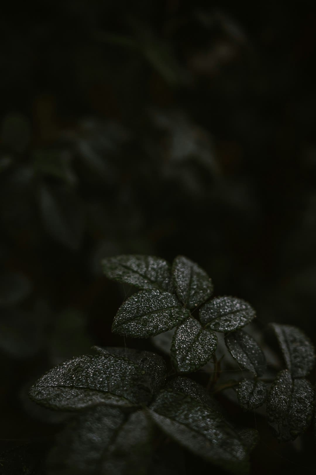 易烊千玺唱《送你一朵小红花》数度呜咽：这首歌或许只唱这一次